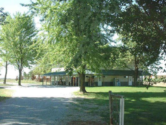 A tree-lined drive through the campground